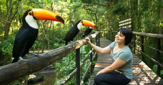 Foz do Iguaçu | Argentina e Paraguai