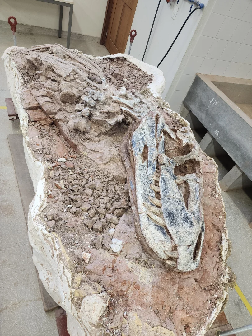 Rota dos Dinossauros