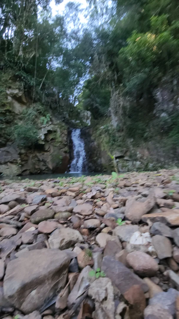 Rota dos Dinossauros