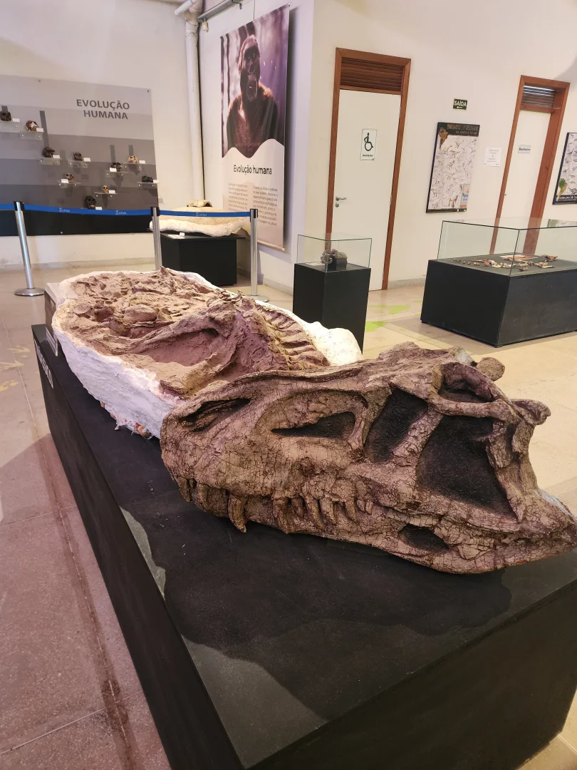 Rota dos Dinossauros