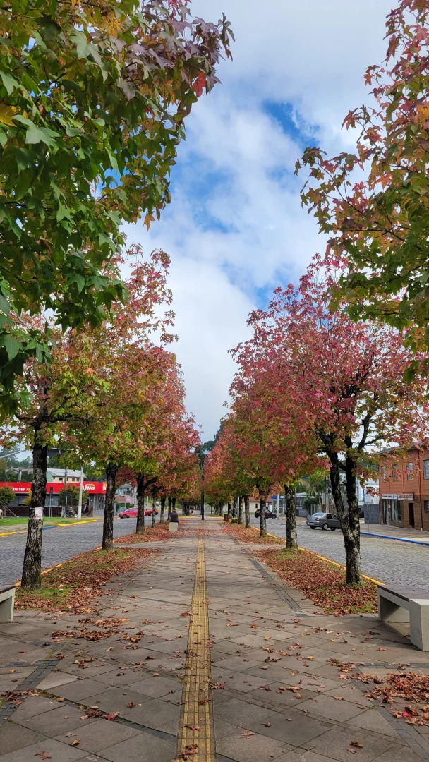 Cicloturismo na Rota Romântica - Gramado, Canela e São Francisco de Paula