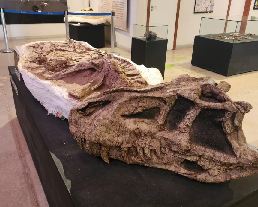 Rota dos Dinossauros