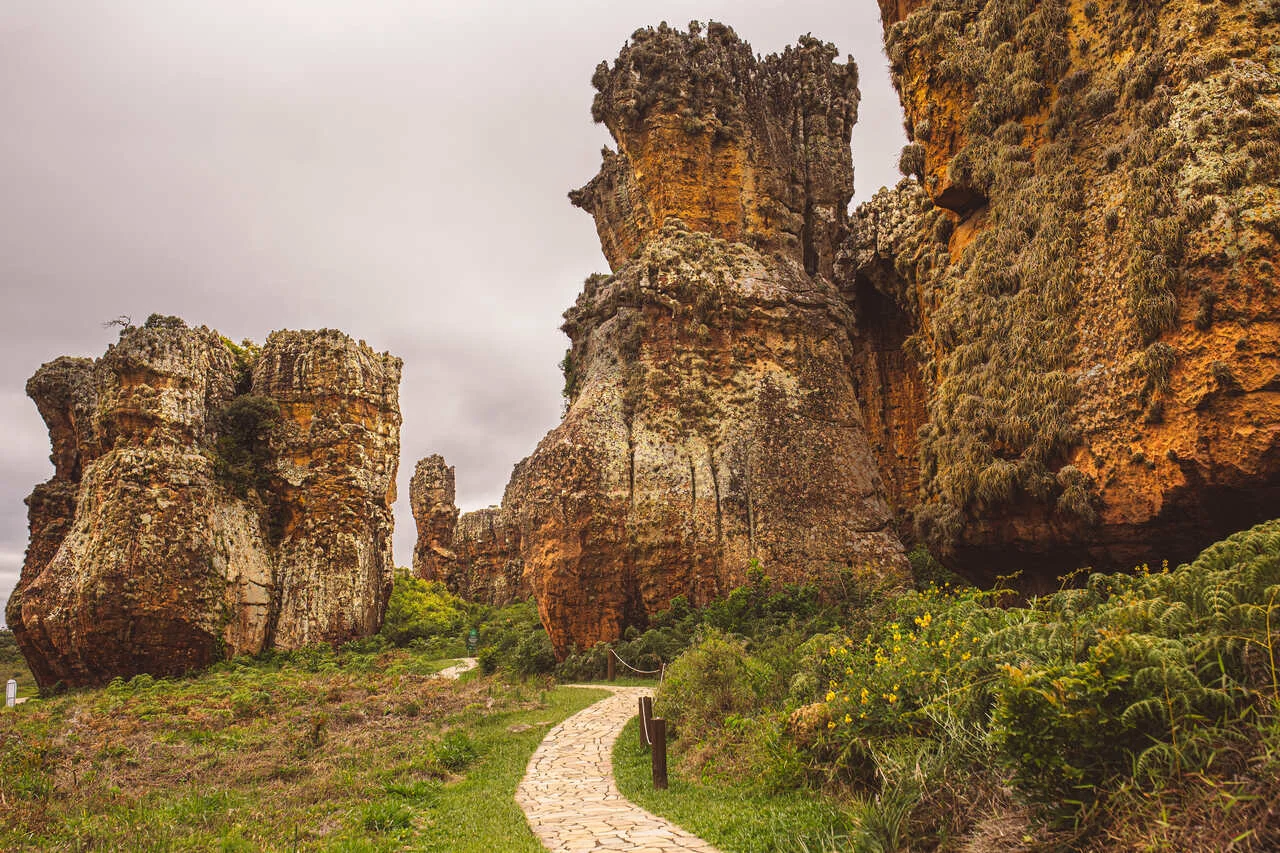 Expedição Paraná: Ecoturismo, Praias e Curitiba