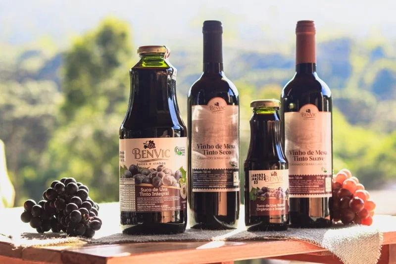 Roteiro Raízes e Charme: Da Tradição ao Coração de Gramado