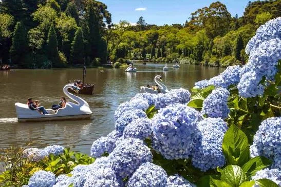 Roteiro Raízes e Charme: Da Tradição ao Coração de Gramado