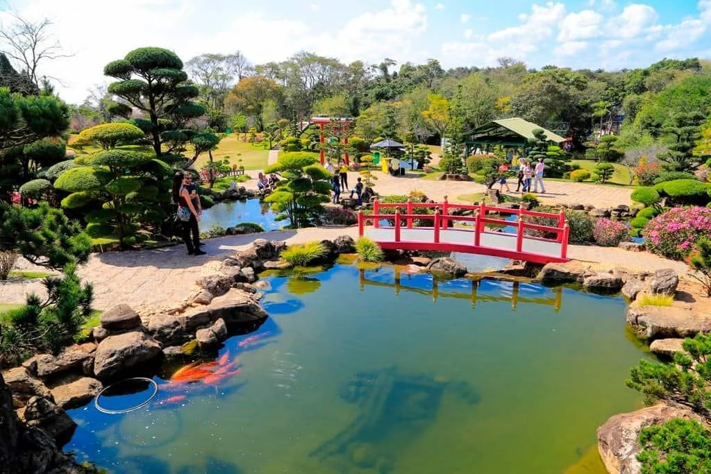 Parque Maeda – Diversão, Natureza e Lazer | Bate e Volta