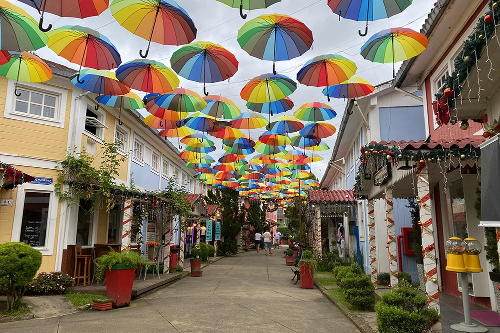 Penedo - Uma viagem para viver, sorrir e voltar com memórias inesquecíveis