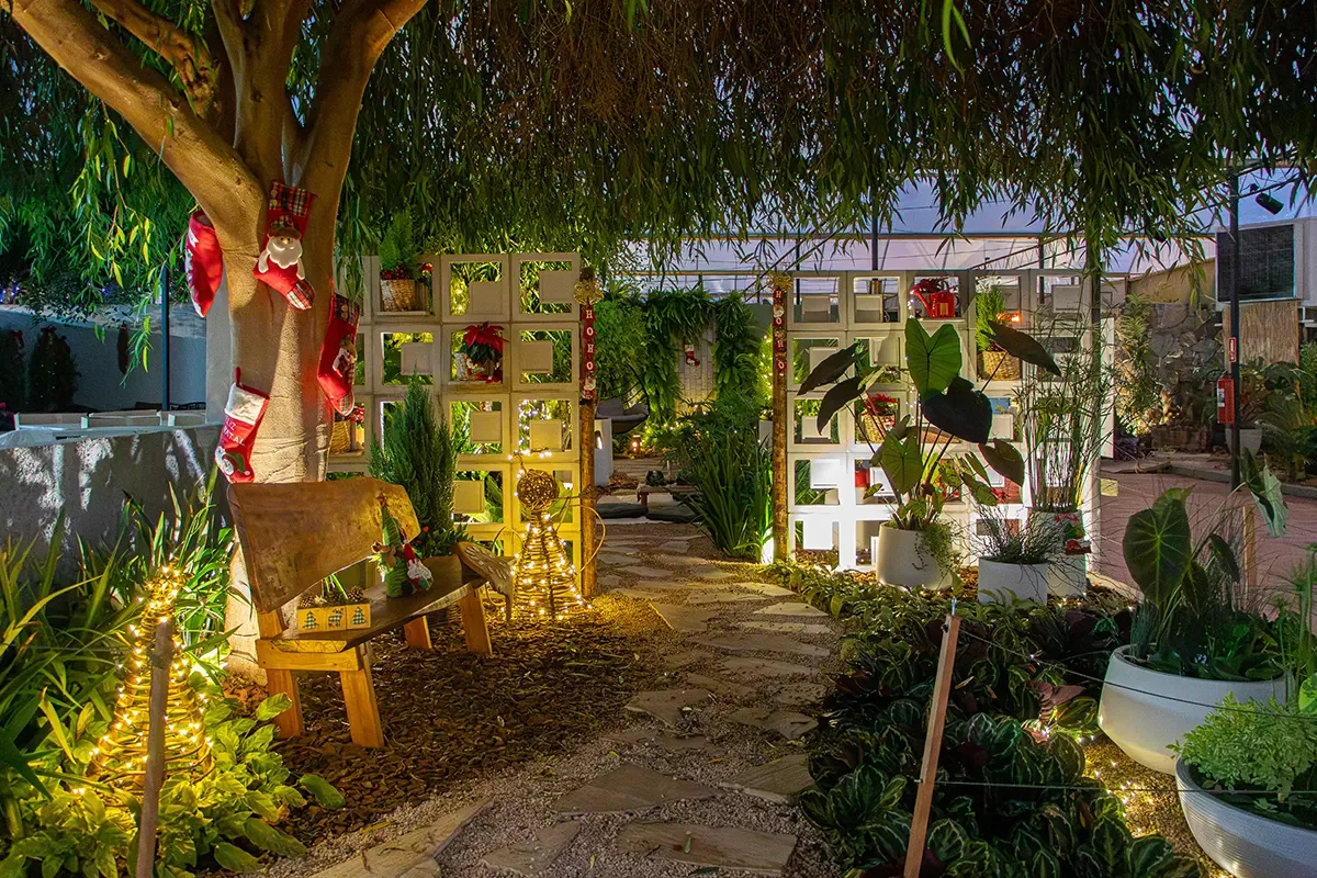 NATAL BY EXPOFLORA 2026 - HOLAMBRA - SP