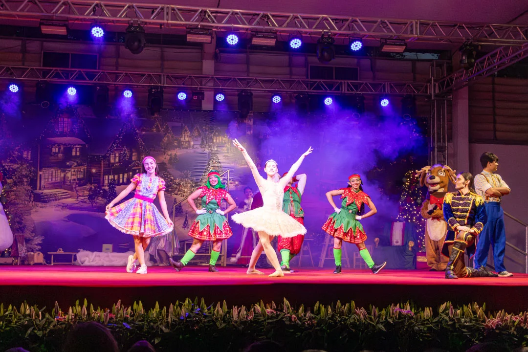 NATAL BY EXPOFLORA 2026 - HOLAMBRA - SP