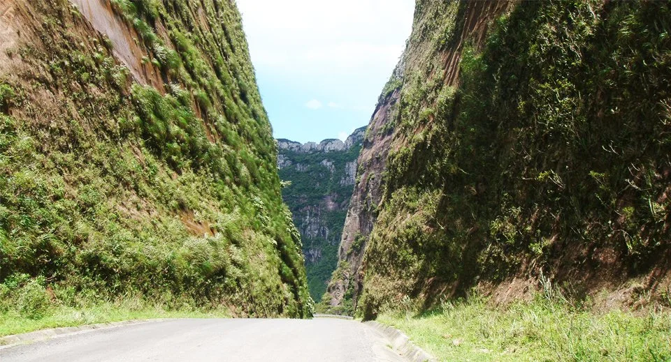 Serra do Rio do Rastro + Colheita da Maçã