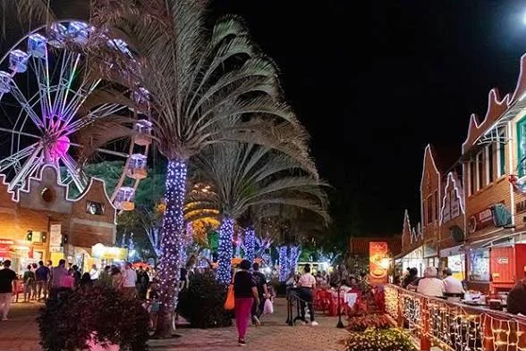 EXCURSÃO HOLAMBRA - BY EXPOFLORA