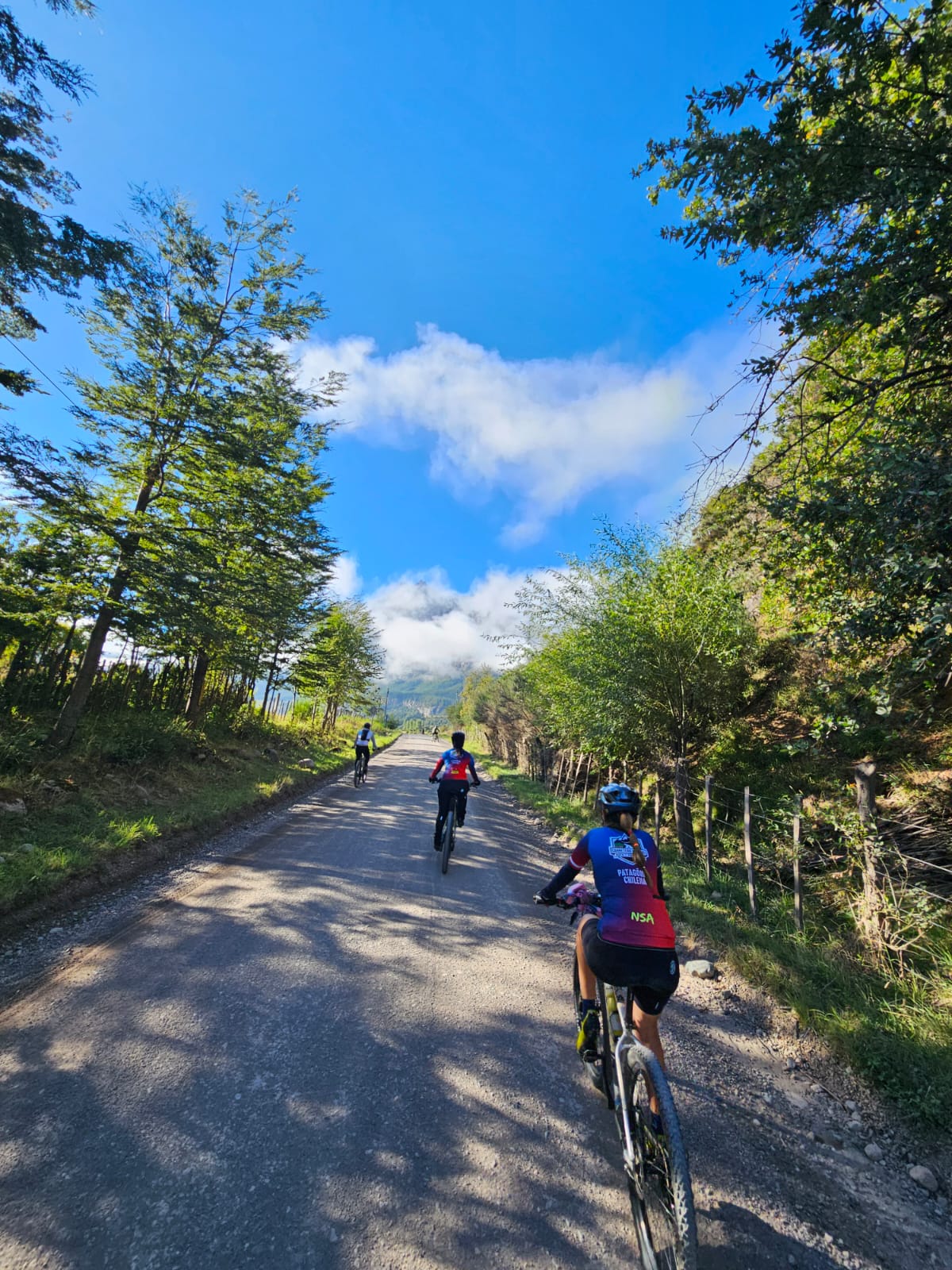 PATAGÔNIA CHILENA- CARRETERA AUSTRAL