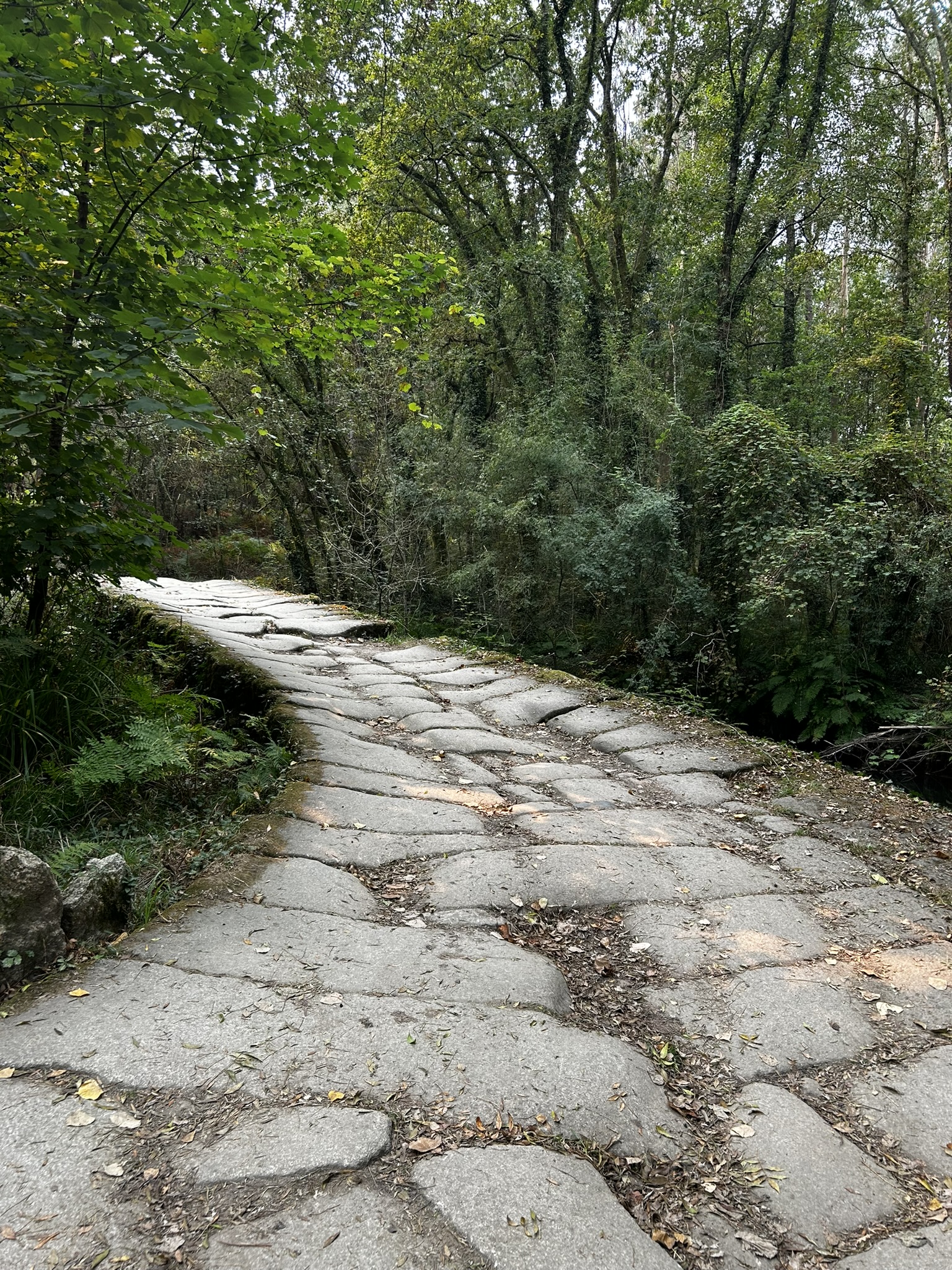 Santiago de Compostela · Caminho Francês (Saída de Leon - Espanha)