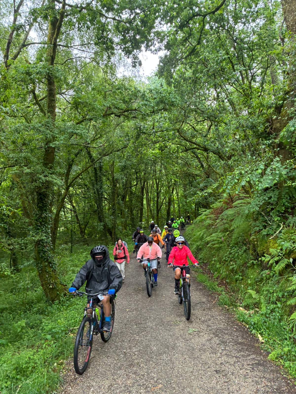 Santiago de Compostela · Caminho Francês Completo — St Jean Pied-de-Port