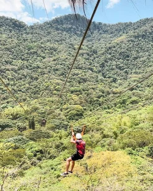 Terra dos Dinos + Miguel Pereira