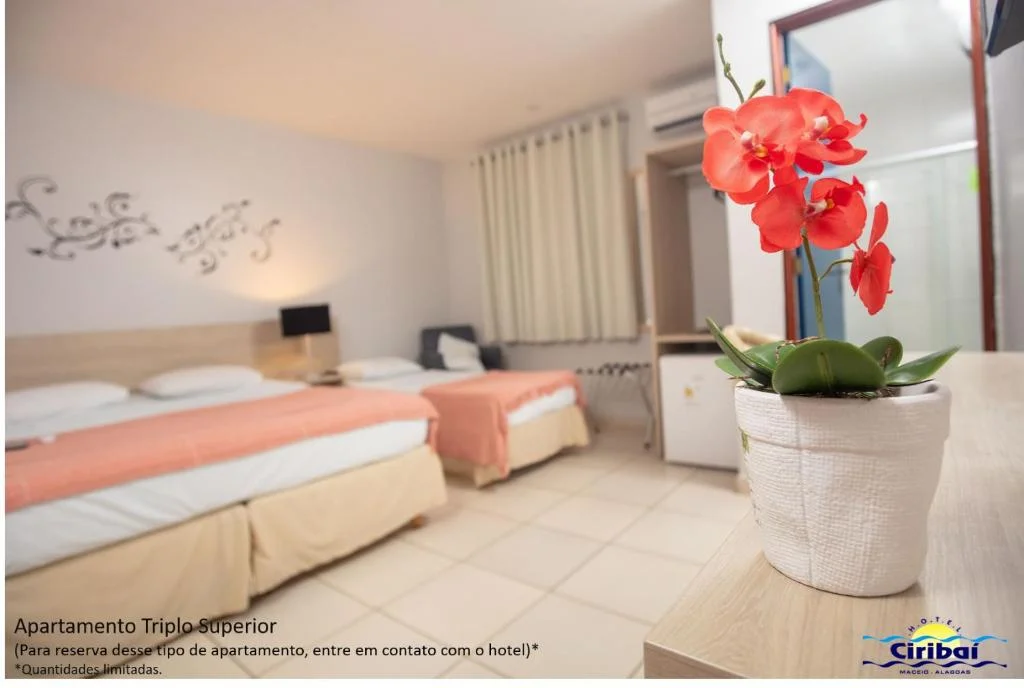 Excursão SEFAZ – MACEIÓ