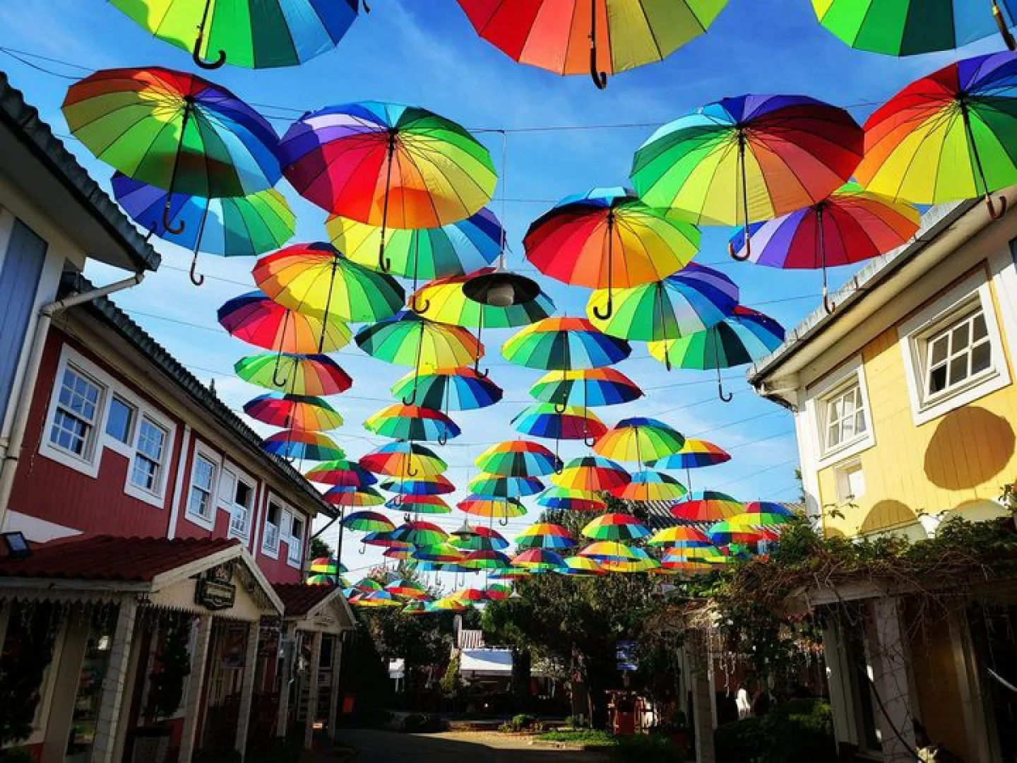 Passeio em Penedo.