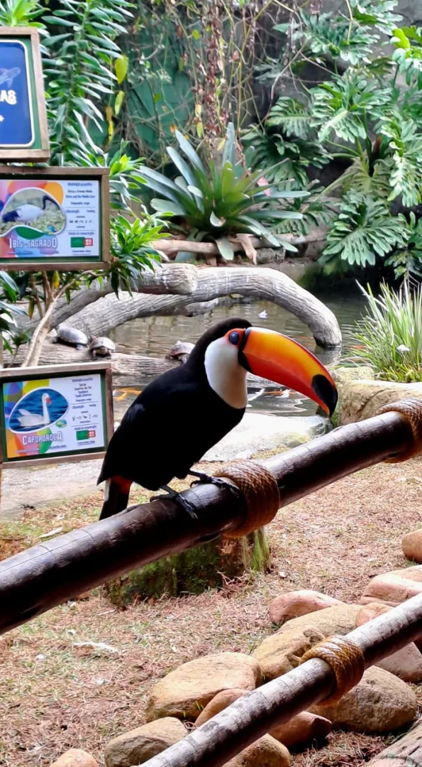 ANIMÁLIA PARK - Cotia - out/26