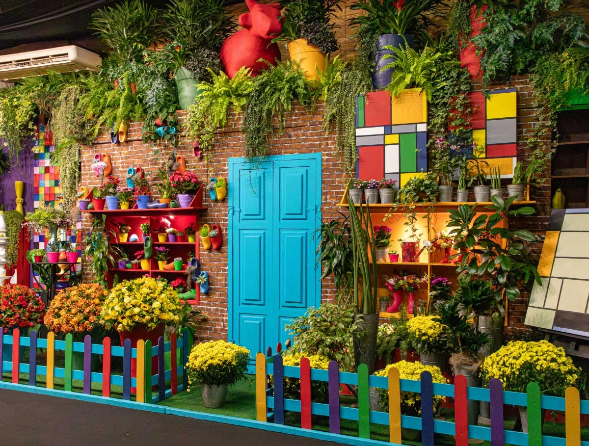 Holambra - Expoflora - 20 de Setembro