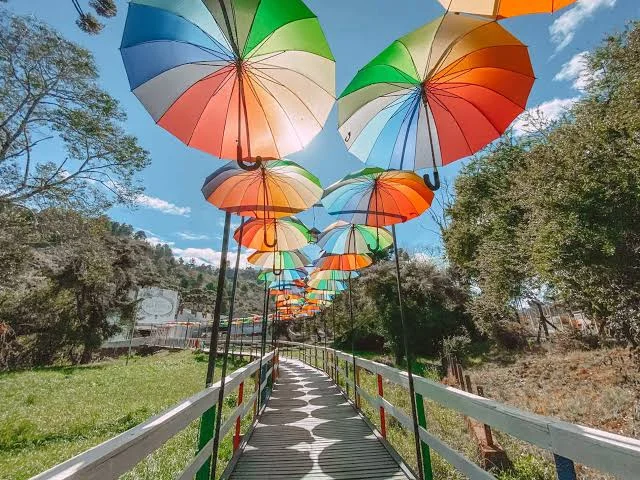 Campos do Jordão - 13 de setembro