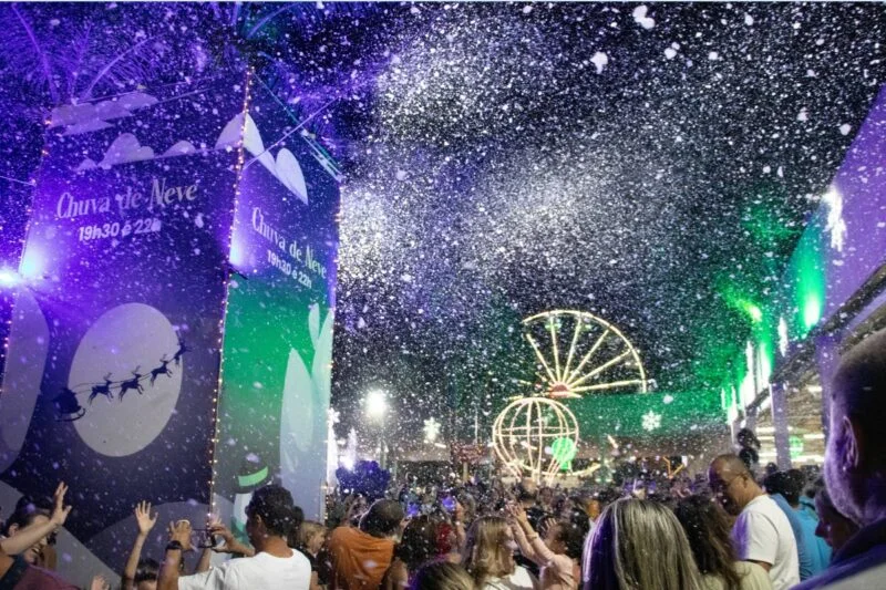 Natal Luz - Expoflora - 12 de dezembro