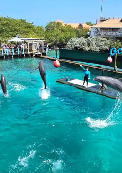 BARU + OCEANARIO