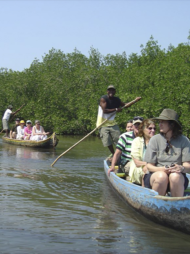 Mangues de La Boquilla